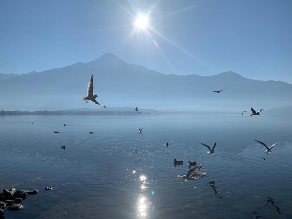 My Holiday- Lake House La Gemma Gera Lario Dış mekan fotoğraf
